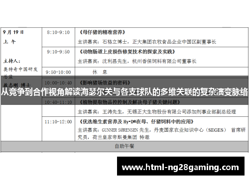 从竞争到合作视角解读海瑟尔关与各支球队的多维关联的复杂演变脉络