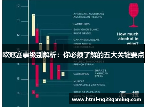 欧冠赛事级别解析：你必须了解的五大关键要点