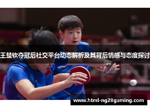 王楚钦夺冠后社交平台动态解析及其背后情感与态度探讨